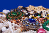 All about Birthstone Jewellery: Find Your Month and Its Meaning