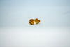 Heart-shaped gold stud earrings