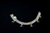 Ethnic silver anklets